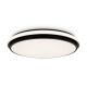 Накладной светильник Freya Pie FR6086CL-L117B