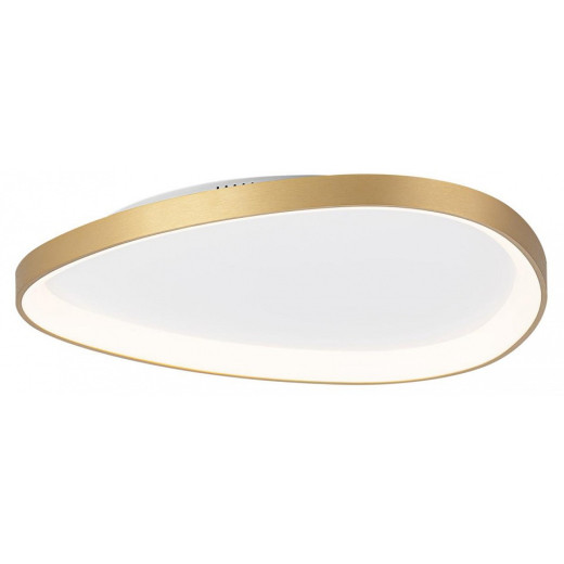 Накладной светильник Citilux GENKA SMART CL756A162