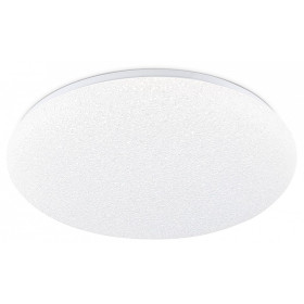 Накладной светильник Ambrella Light  FZ1751