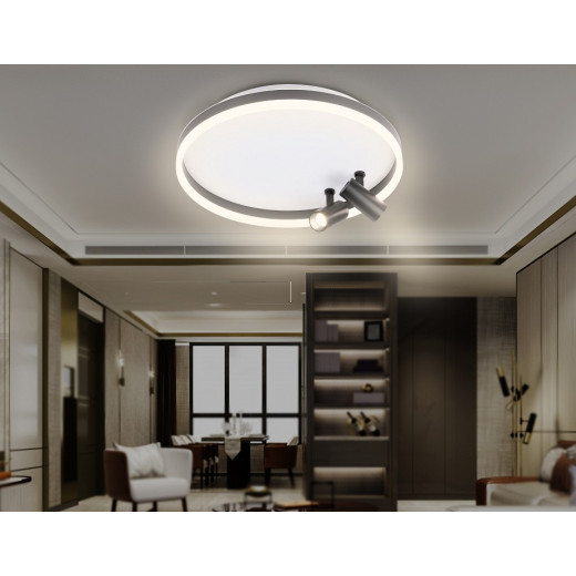 Накладной светильник Ambrella Light FL FL5113