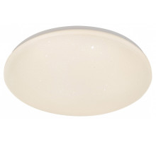 Накладной светильник Escada GALATEA 10216/SG LED APP