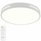 Накладной светильник Natali Kovaltseva Modern LED LAMPS 81334