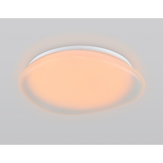 Накладной светильник Ambrella Light ORBITAL FZ1610