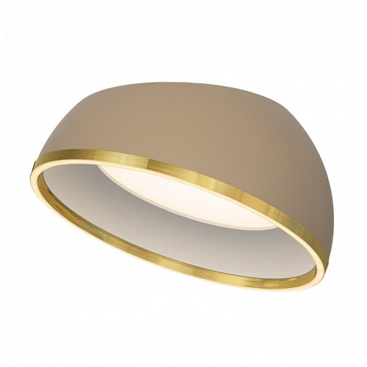 Накладной светильник Citilux FLOOM CL736152