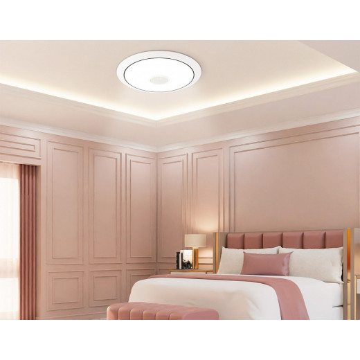 Накладной светильник Ambrella Light  FZ720