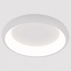 Накладной светильник Arte Lamp None A2694PL-45WH