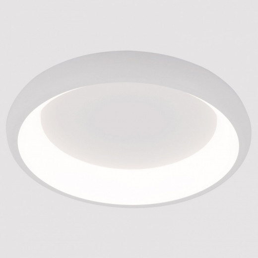 Накладной светильник Arte Lamp None A2694PL-45WH