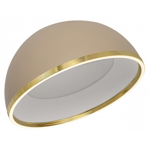 Накладной светильник Citilux FLOOM CL736152