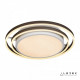 Накладной светильник iLedex Summery B6308-101W/620 WH