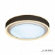 Накладной светильник iLedex Summery B6233-91W/520 WH