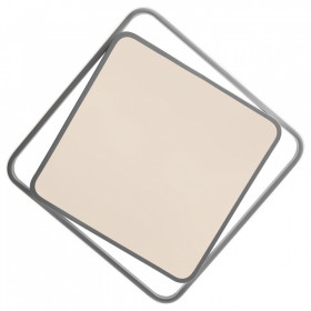 Накладной светильник Freya  FR10030CL-L88W