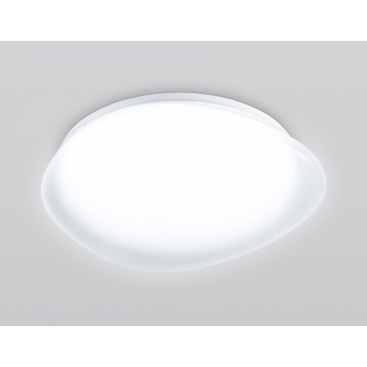 Накладной светильник Ambrella Light ORBITAL FZ1601