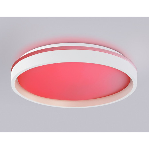 Накладной светильник Ambrella Light FZ FZ607