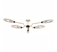 Накладной светильник Maytoni Ventura MOD012CL-06G