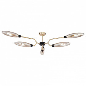 Накладной светильник Maytoni Ventura MOD012CL-06G