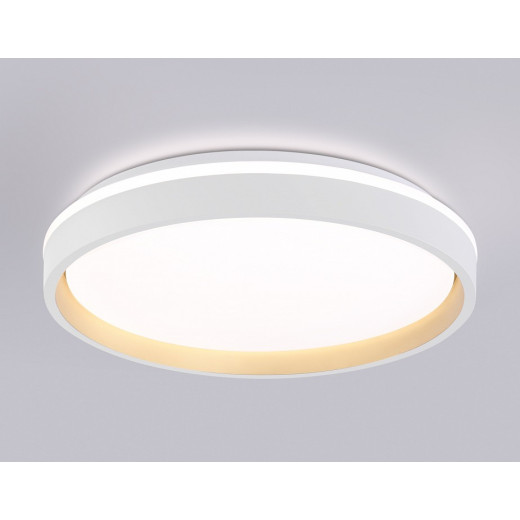 Накладной светильник Ambrella Light FZ FZ607