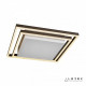 Накладной светильник iLedex Summery B6308-97W/550*550 WH