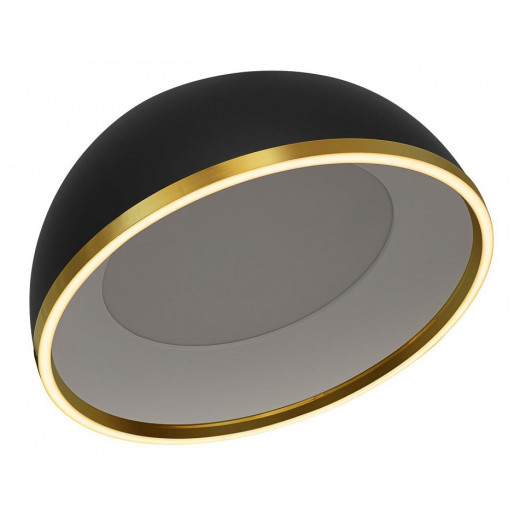 Накладной светильник Citilux FLOOM CL736151