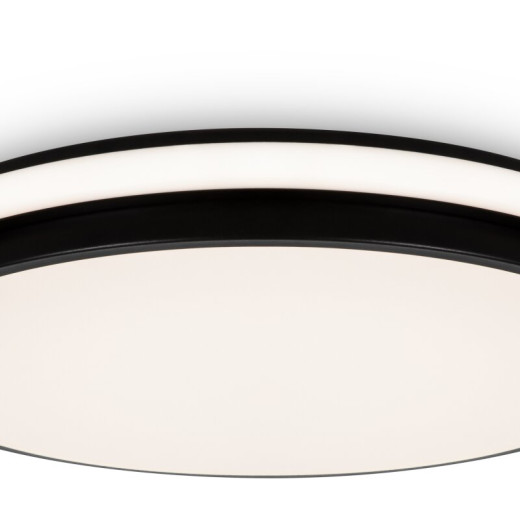 Накладной светильник Freya Pie FR6086CL-L117B