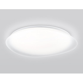 Накладной светильник Ambrella Light ORBITAL FZ1615