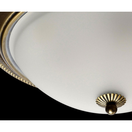 Накладной светильник MW-Light Ариадна 450015503