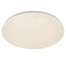 Накладной светильник Escada  10213/SG LED