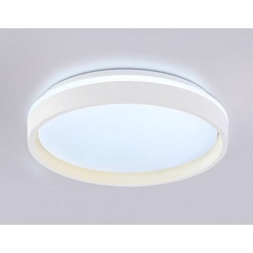 Накладной светильник Ambrella Light FZ FZ601