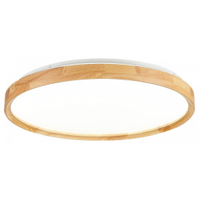 Накладной светильник EVOLUCE DELIA SLE201382-01