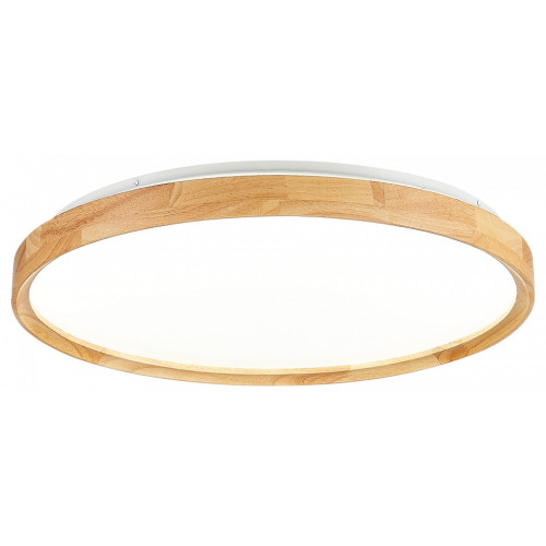 Накладной светильник EVOLUCE DELIA SLE201382-01