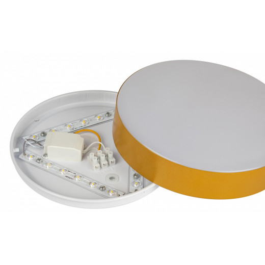 Накладной светильник Эра Relict Relict 22 SPB-6-20 4К MG