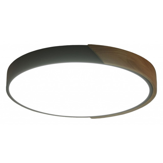 Накладной светильник Zortes Alberro ZRS.01280.24