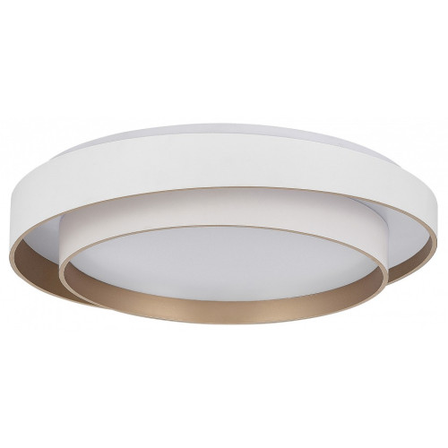 Накладной светильник EVOLUCE Crosby SLE6009-502-01