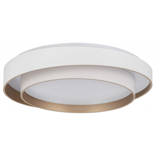 Накладной светильник EVOLUCE Crosby SLE6009-502-01