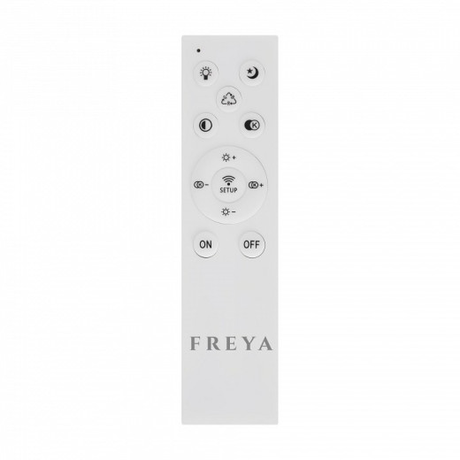 Накладной светильник Freya  FR10018CL-L40W