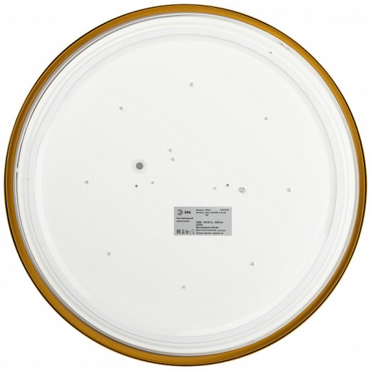 Накладной светильник Эра Relict Relict 38 SPB-6-40 4К MG