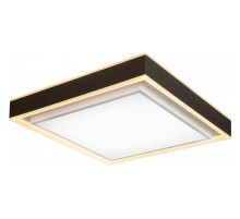 Накладной светильник iLedex Summery B6233-117W/520*520 WH