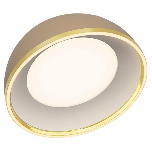 Накладной светильник Citilux FLOOM CL736152