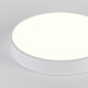 Накладной светильник Natali Kovaltseva  LED LAMPS 81112/5C