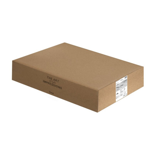 Накладной светильник Freya Strata FR6152CL-L99W