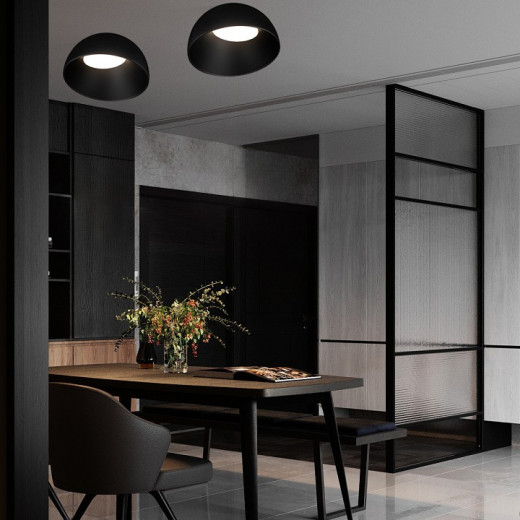 Накладной светильник Loft it Egg 10197/350 BB