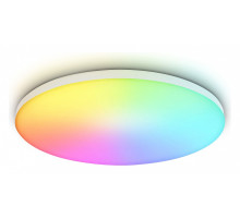 Накладной светильник Ambrella Light FZ FZ2002