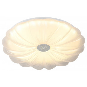 Накладной светильник Эра  SPB-6 Muze 48W-5K WH+CH