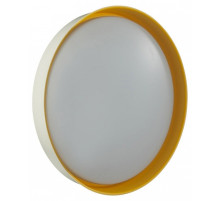 Накладной светильник Sonex COLOR 7711/ELN