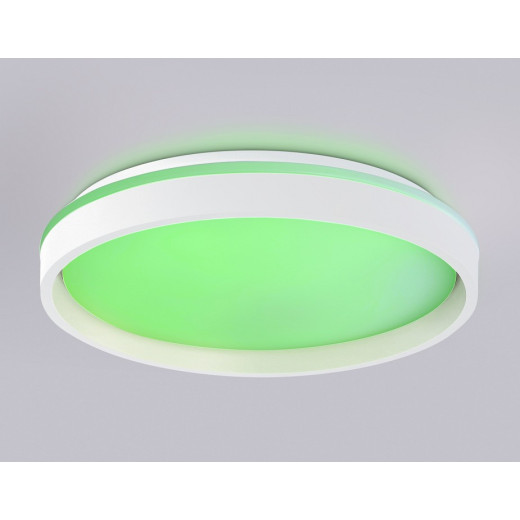 Накладной светильник Ambrella Light FZ FZ607