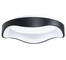 Накладной светильник Arte Lamp ANKAA A3085PL-48BK