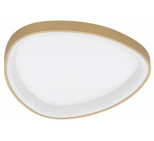 Накладной светильник Citilux GENKA SMART CL756A142