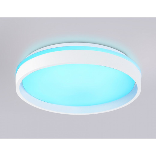 Накладной светильник Ambrella Light FZ FZ601