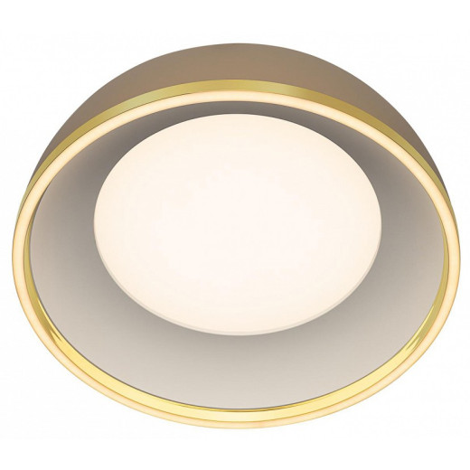 Накладной светильник Citilux FLOOM CL736152