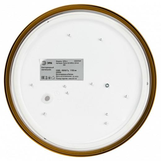 Накладной светильник Эра Relict Relict 22 SPB-6-20 4К MG