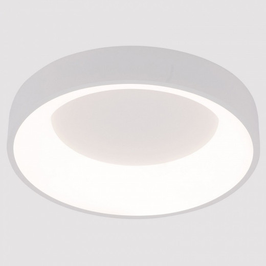 Накладной светильник Arte Lamp None A2695PL-40WH